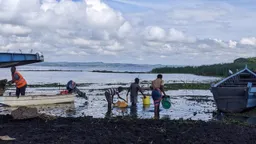 Gugumaji jipya linavyotishia uhai wa viumbe hai Ziwa Victoria, Tanzania